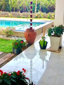 Double W Grand Villa Madiha