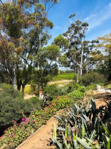 Addo Good Hope Guest House