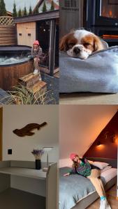 Dobre Kąty całoroczne domki