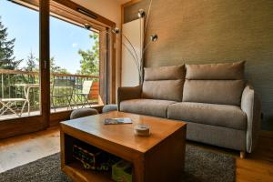 Les Chalets de LAiguille C101