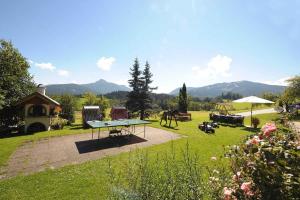 Apartments in Flachau - Salzburger Land 35292