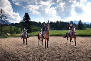 Apartments in Flachau - Salzburger Land 35292