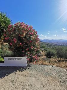 Maison spacieuse avec piscine et vue