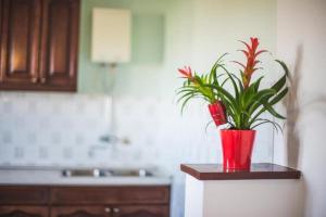 Guesthouse Lopar (824)