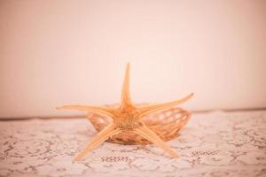 Guesthouse Lopar (824)