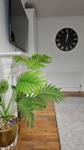 2BR spacious garden flat near Herne Hill station