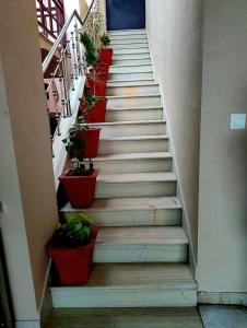 3BHK Modern Villa in Udaipur