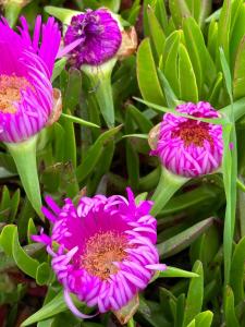 À deux pas de la plage du Fogeo Arzon