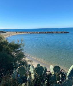 le cocon des thermes