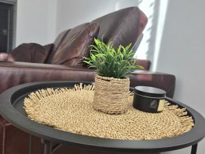 Apartman MiCi Sunčani Breg Vrdnik