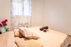 Appartement T2 - Parking Privé - Petit bois Luzien