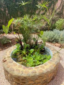 Dar Minel- Deine Wohlfühloase mit Garten und Sonnenterasse