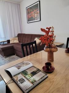 Apartament Czekoladowy Zdrój