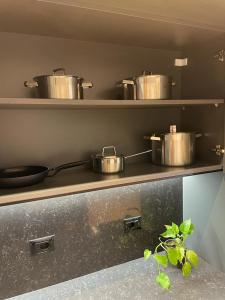 Central Luxurious Apartment