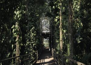 Irroi Kaziranga