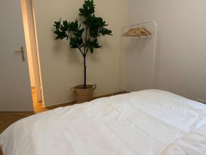 60qm, balcony, near center, Schönbrunn, attic