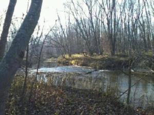 Cabin Surrounded by Sublime Nature near Lake Huron, Michigan