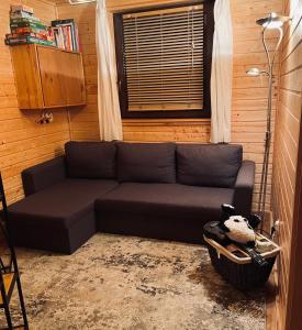 Dom całoroczny 6-8 osobowy