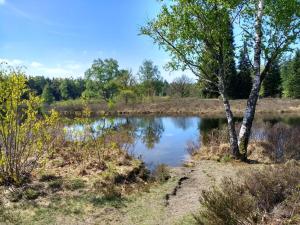 Geniet flink in de Appelvink