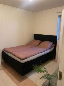 Comfy apartment in Tromsø