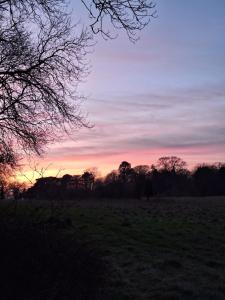 The Meadow Suite, Enholmes Hall