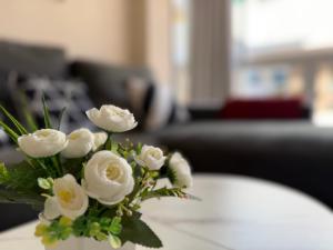 Beautiful modern apartment 100m from the sea