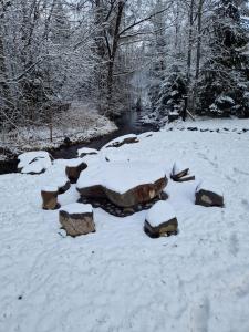 Cabana Bradul Adelinei