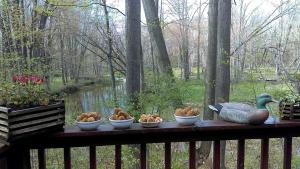 Cabin Surrounded by Sublime Nature near Lake Huron, Michigan