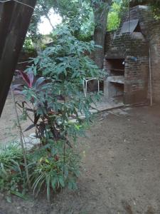 Cabaña en Playa Paso de la Patria