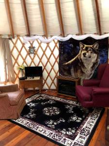 Superb Yurt Rental near George Washington National Forest in Luray, Virginia