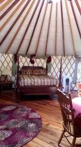 Superb Yurt Rental near George Washington National Forest in Luray, Virginia
