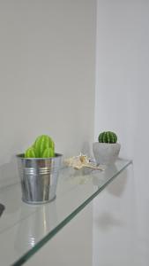 Large apartment close to everything! North area