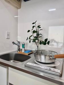 Ikeda Ueno 201 Quad Room