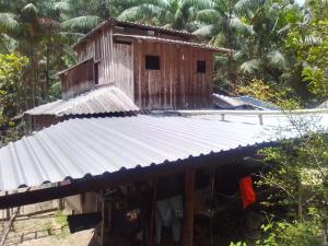 Acampamento na selva