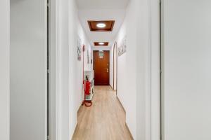 Testaccio Patty Flat