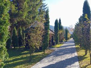 Girska Tysa Health Resort