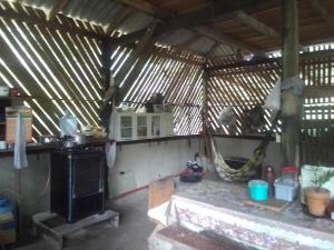 Acampamento na selva