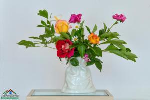 Villa Rosa with Air Conditioning and Lake View