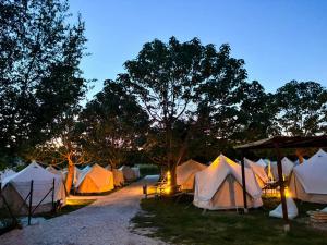 O Pedrouzo Pilgrim Camp