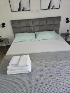 Pink Hub Apartment No 2 Stay in the Heart of Tiran