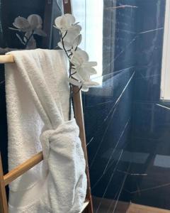 Tirana Accomodation Premium