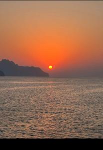 Musandam Starlight Dhow Cruise