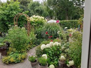 Drenthse-Groninger landschap