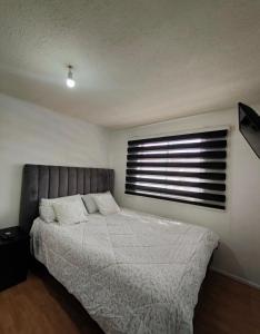 Habitaciones en Curico