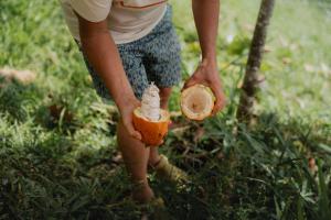 Finca Renacer - Jungle Lodges