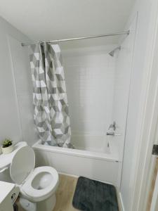 Modern Comfort West Edmonton