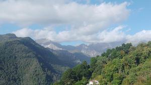Il rifugio del cuore PT