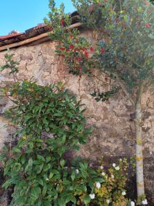 El Solano-La Gallega