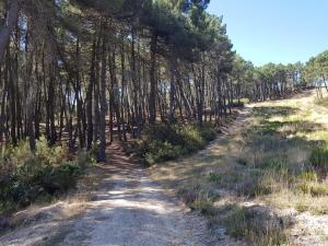 El Solano-La Gallega