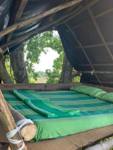 Jungle Tree Hut Anuradhapura Sri Lanka